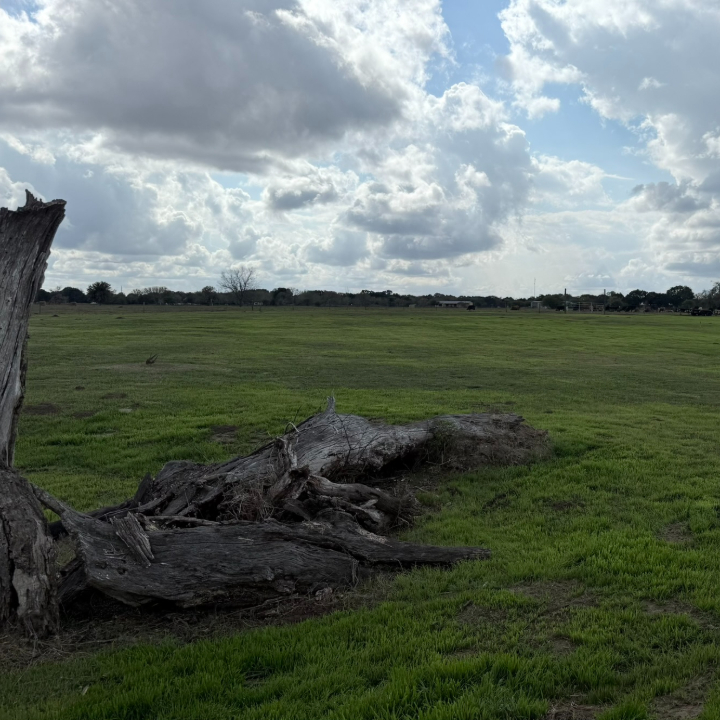 AV Design Studio - Modern Countryside