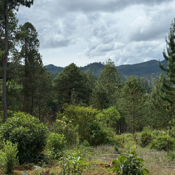 AV Design Studio - Horizontes